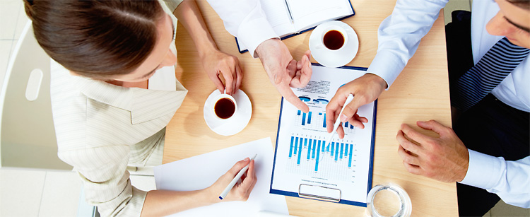 Document Management Solution (DMS)